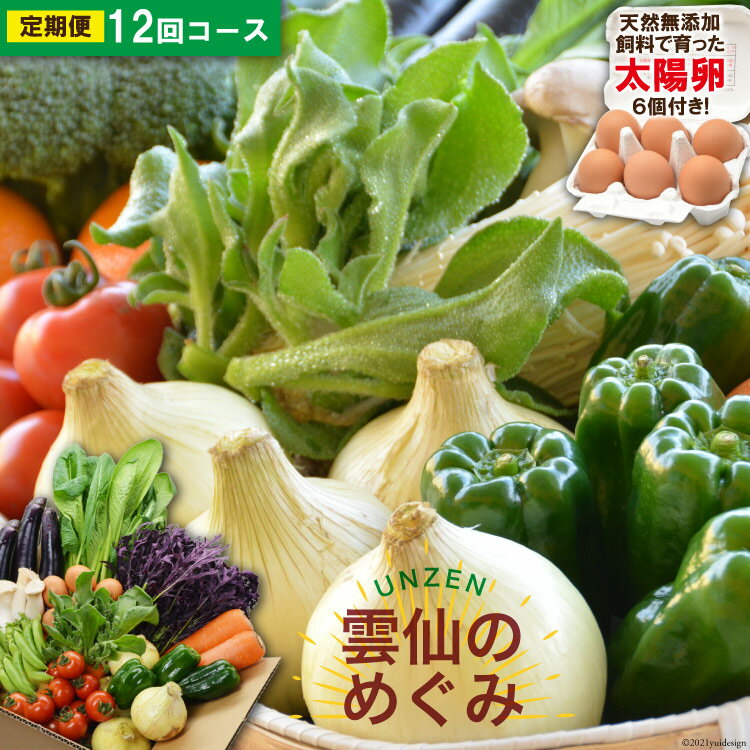 ふるさと納税 野菜セット 野菜 定期 [12回毎月コース]"雲仙のめぐみ"旬の野菜セット定期便(S)[太陽卵6個付き] 8〜10品目セット [ 長崎県農産品流通合同会社 長崎県 雲仙市 item0212 ]