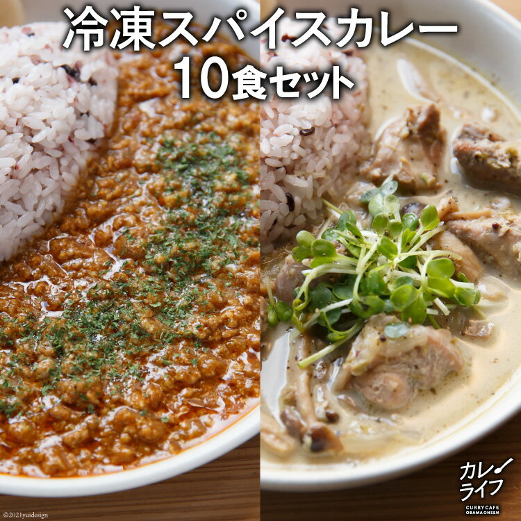 2位! 口コミ数「0件」評価「0」冷凍スパイスカレー10食セット＜カレーライフ＞【長崎県雲仙市】