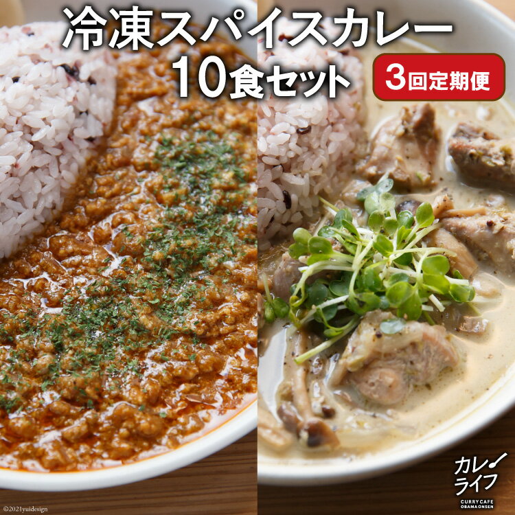 【ふるさと納税】【3回定期便】冷凍スパイスカレー10食セット ふるさと納税 長崎 定期便 ＜カレーライフ＞【長崎県雲仙市】