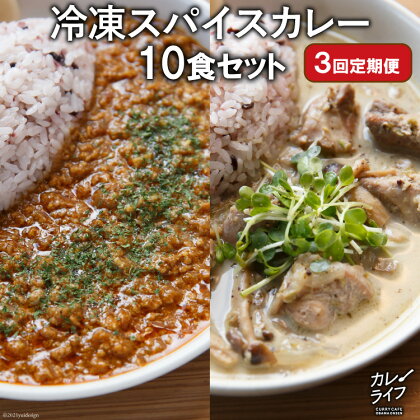 【3回定期便】冷凍スパイスカレー10食セット ふるさと納税 長崎 定期便 ＜カレーライフ＞【長崎県雲仙市】