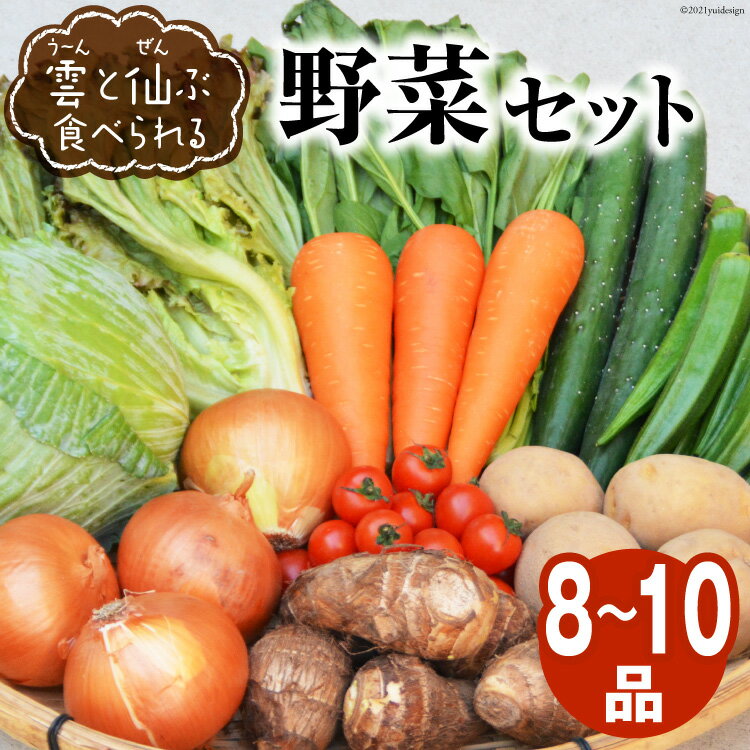 楽天長崎県雲仙市【ふるさと納税】 雲（う～ん）と仙（ぜん）ぶ食べられる野菜セット（8～10品）＜肥前グローカル＞ ふるさと納税 野菜セット 【長崎県雲仙市】[item0584]