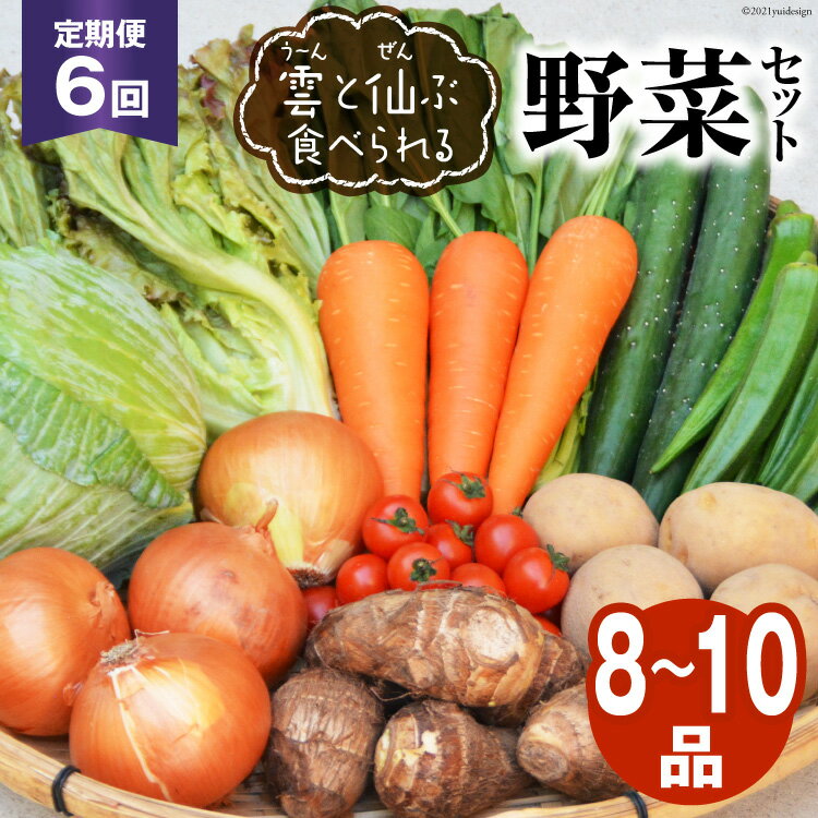 18位! 口コミ数「6件」評価「4.83」【定期便6回】 ふるさと納税 長崎 定期便 野菜 雲（う～ん）と仙（ぜん）ぶ食べられる野菜セット（8～10品） 定期 ＜肥前グローカル＞ 【･･･ 