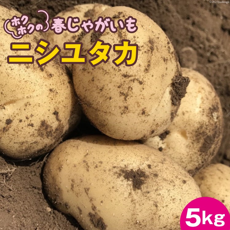 [先行受付]ホクホクの 春じゃがいも 「 ニシユタカ 」5kg [Taji Farming 長崎県 雲仙市 item0608] 野菜 じゃがいも 春じゃが 5キロ