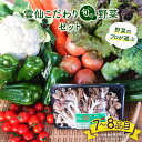 【ふるさと納税】雲仙こだわり野菜セット 旬の野菜を7～8品目