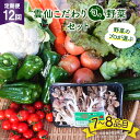 【ふるさと納税】【12回定期便】雲仙こだわり野菜セット (旬