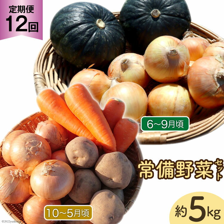 10位! 口コミ数「0件」評価「0」定期便 12回 常備野菜 セット 約5kg 詰め合わせ [吉岡青果 長崎県 雲仙市 item1298]