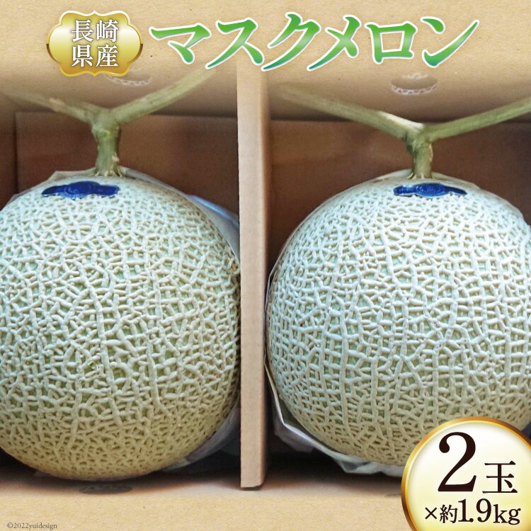 [先行受付]メロン マスクメロン 約1.9kg×2玉 / シミズ farm / 長崎県 雲仙市 [item0757] / フルーツ 果物 2玉 期間限定