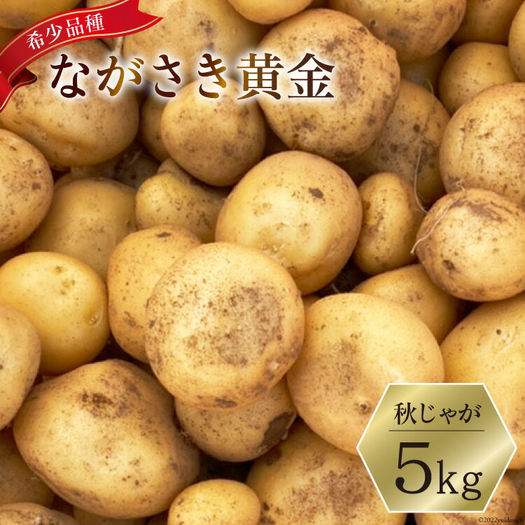 【ふるさと納税】じゃがいも 南串産 ながさき黄金 5kg ( 秋じゃが )《2022年12月後半から順次出荷》 ジャガイモ 野菜 期間限定 / 南串ながさき黄金生産組合 / 長崎県 雲仙市