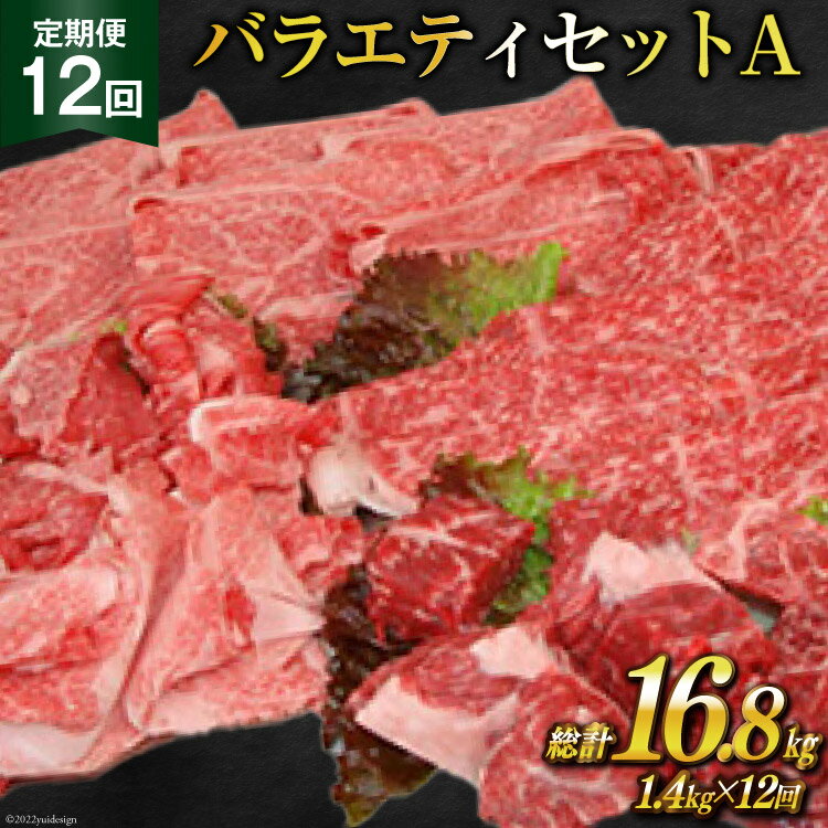 定期便 12回 牛肉 雲仙育ち おがわ牛 バラエティーセットA 総計16.8kg(1.4kg×12回) 黒毛和牛 上ロース薄切り肉 モモ薄切り肉 切落とし カレー肉 冷凍 / 焼肉おがわ / 長崎県 雲仙市