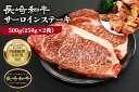 【ふるさと納税】肉 長崎和牛 サーロイン ステーキ 250g×2枚 計500g 牛肉 極上 赤身 国産牛肉 バーベキュー 冷凍 / サンクスラボ / 長崎県 雲仙市 [item0860]