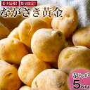 【ふるさと納税】【先行受付】じゃがいも 春じゃが 南串産 ながさき黄金 5kg / 南串ながさき黄金生産組合 / 長崎県 雲仙市 [item0937] / ジャガイモ 野菜 5キロ 期間限定