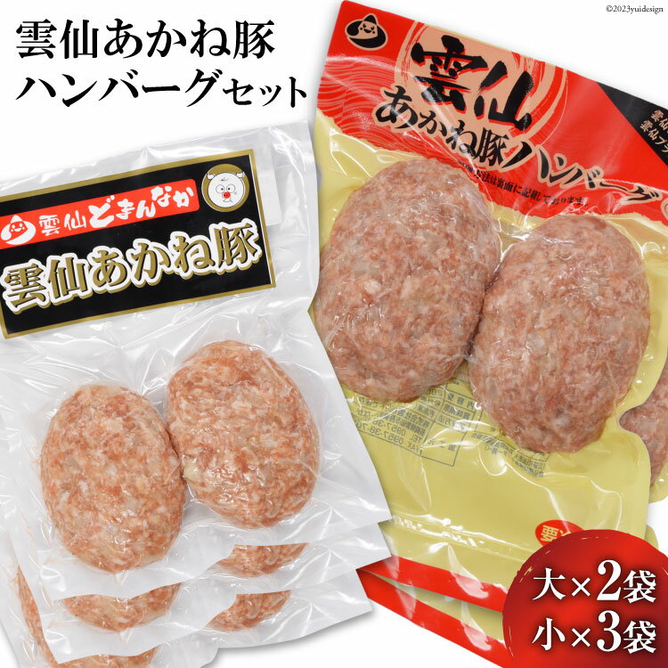 雲仙あかね豚 ハンバーグセット