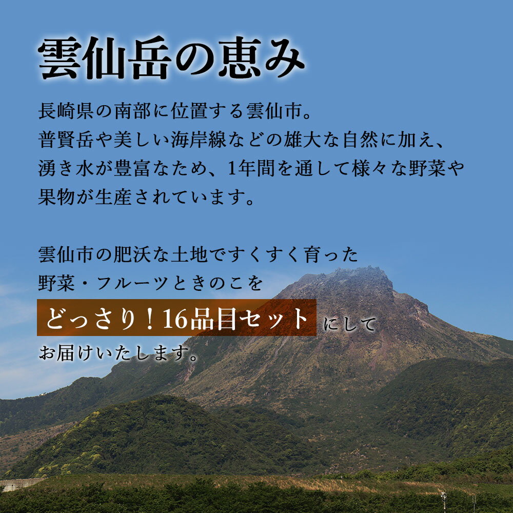 【ふるさと納税】贅沢 野菜 セット どっさり 16品目以上 季節の野菜 フルーツ キノコ 詰め合わせ [吉岡青果 長崎県 雲仙市 item1269]