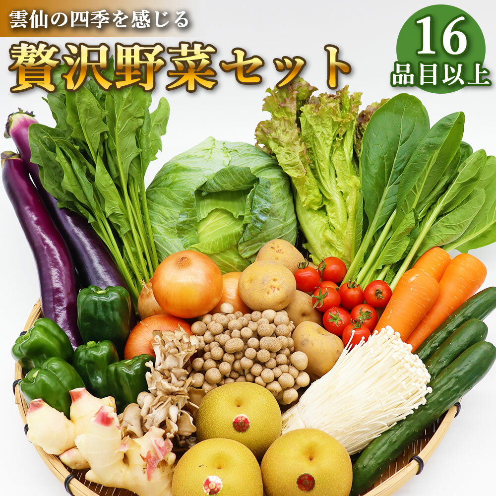 贅沢 野菜 セット どっさり 16品目以上 季節の野菜 フルーツ キノコ 詰め合わせ 