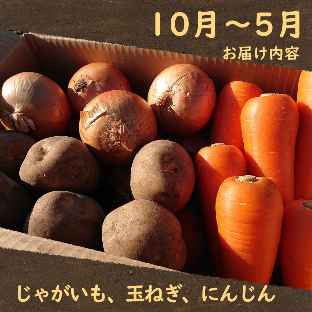 【ふるさと納税】定期便 3回 常備野菜 セット 約5kg 詰め合わせ / 吉岡青果 / 雲仙市[item0633]