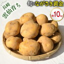  春 じゃがいも ながさき黄金 10kg  芋 ジャガイモ じゃが芋 春じゃが 10キロ 期間限定