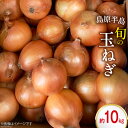 玉ねぎ 10kg / まるまさ / 長崎県 雲仙市 [item0990] / たまねぎ オニオン タマネギ 野菜 期間限定 10キロ