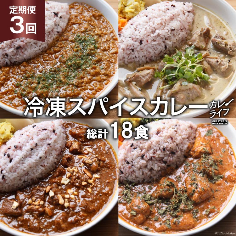 冷凍 スパイスカレー 4種6食×3回 総計18食  カレー キーマ グリーン チキン ポーク 詰め合わせ 食べ比べ 定期便