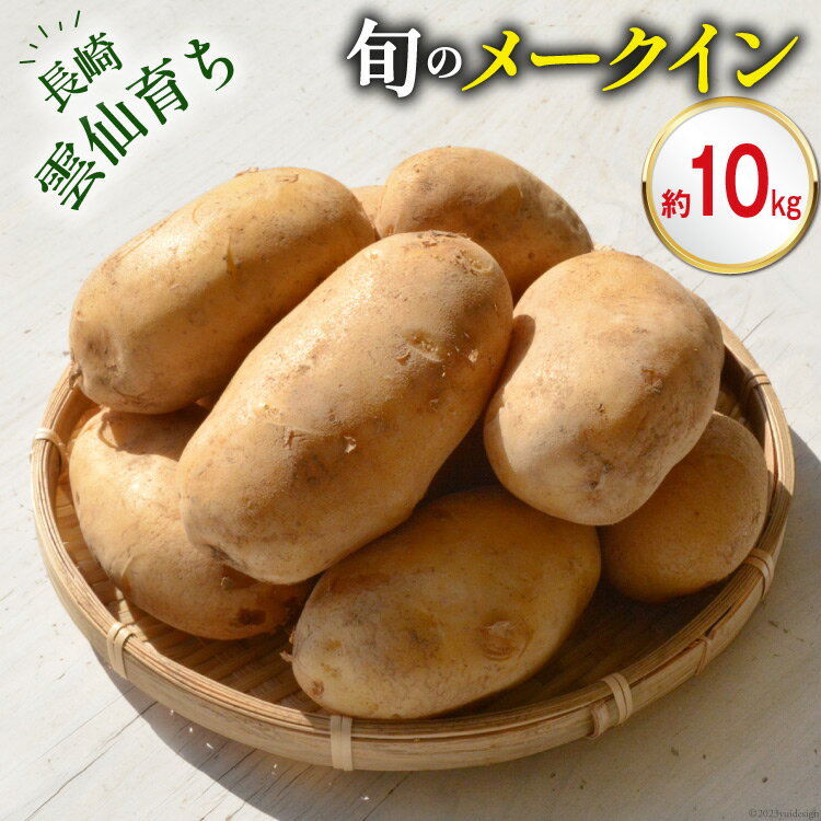 【ふるさと納税】【島原半島育ち】 春 じゃがいも メークイン 10kg [ ジャガイモ じゃが芋 期間限定 ] / まるまさ / 長崎県 雲仙市 [item0906]のサムネイル