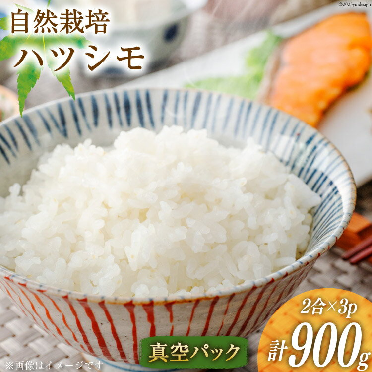 米 ハツシモ 2合×3 計900g 真空パック / かなざわ農園 / 長崎県 雲仙市 [item0943] お米 精米