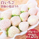 【ふるさと納税】いちご 白いちご ｢雲仙の花ぼうろ｣ 180g×4パック [トトノウ 長崎県 雲仙市 item0981] イチゴ 苺 白いちご フルーツ 果物 くだもの 期間限定 季節限定