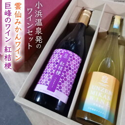 【ふるさと納税】ワインセット 雲仙みかんワイン&紅桔梗 2本 セット [小浜温泉ワイナリー 長崎県 雲仙市 item1015] ワイン 赤 赤ワイン 国産 日本 ぶどう ブドウ 巨峰 みかん 蜜柑 お酒 酒 果実