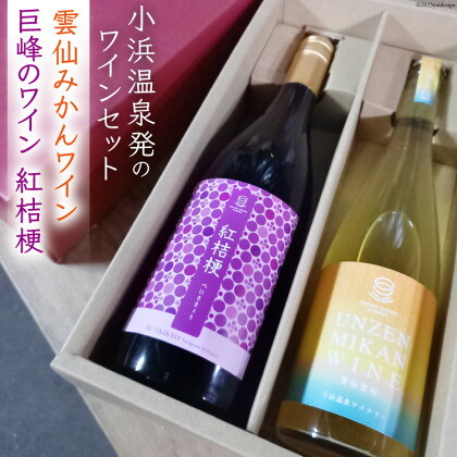 ワインセット 雲仙みかんワイン&紅桔梗 2本 セット [小浜温泉ワイナリー 長崎県 雲仙市 item1015] ワイン 赤 赤ワイン 国産 日本 ぶどう ブドウ 巨峰 みかん 蜜柑 お酒 酒 果実