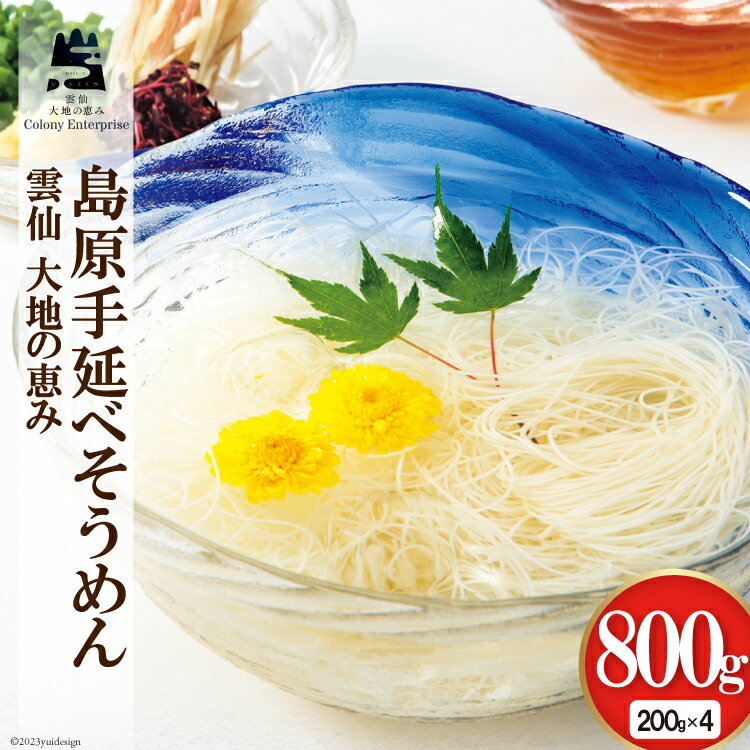 【ふるさと納税】島原手延べ素麺 200g×4袋 計800g 