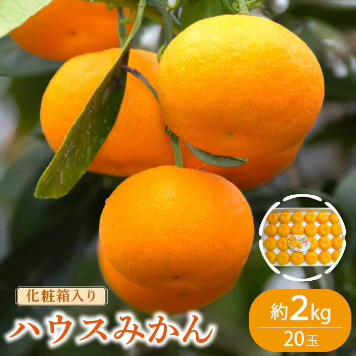 楽天市場】せとか(産地(都道府県)長崎)(みかん|フルーツ 楽天市場】せとか(産地(都道府県)長崎)(みかん|フルーツ