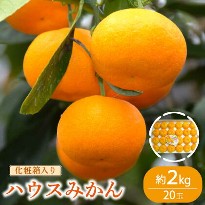 【2024年6月下旬～発送】ハウスみかん 約2kg / みかん ミカン 蜜柑 フルーツ / 南島原市 / JA島原雲仙東南部基幹センター [SAC003]