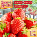 【ふるさと納税】【セット内容が選べる】【2026年1月〜発送】いちご 2種類 食べ比べ 約250g×4P / ゆめのか こいみのり / イチゴ 苺 果物 フルー...