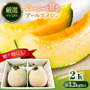 【ふるさと納税】【2025年7月下旬〜発送】【平成新山メロンPREMIUM(とみちゃん厳選)】アールスメロン 2玉 / メロン めろん 青肉 糖度 2玉 果物 ...