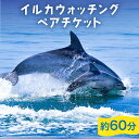 【ふるさと納税】南島原 イルカウォッチング ペア チケット / イルカ 観光 体験 / 南島原市 / 南島原イルカウォッチング [SAE001]