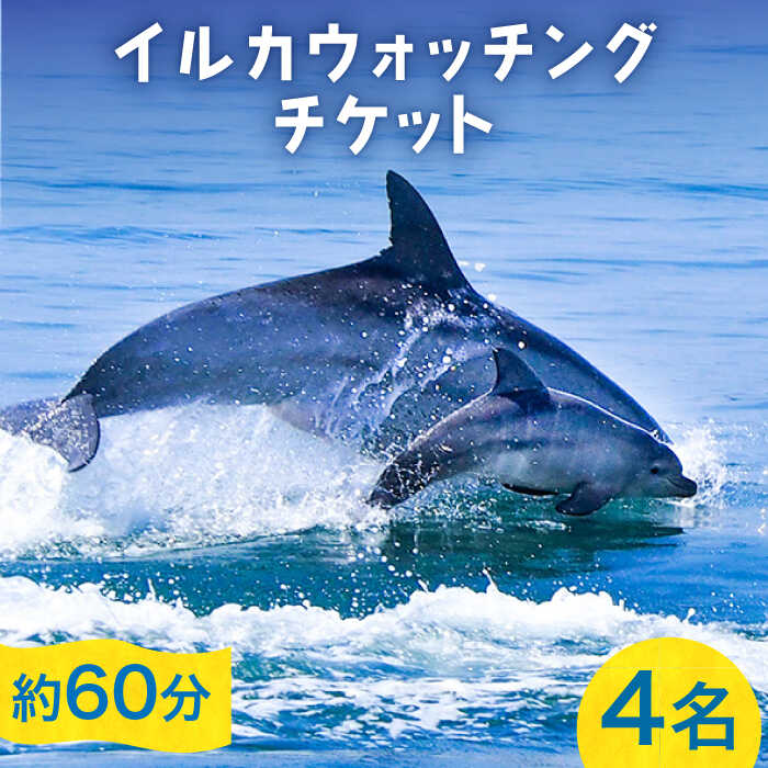 【ふるさと納税】南島原 イルカウォッチング 4人用チケット / イルカ 観光 南島原市 / 南島原イルカウォッチング[SAE002]