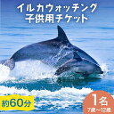 南島原 イルカウォッチング 子ども用 1人用 チケット / イルカ 観光 南島原市 / 南島原イルカウォッチング