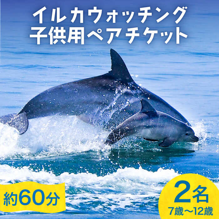 【ふるさと納税】南島原 イルカウォッチング 子ども用 ペアチケット / イルカ 観光 南島原市 / 南島原イルカウォッチング[SAE004]