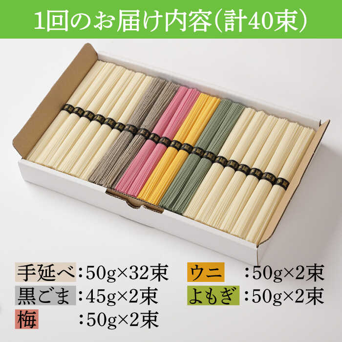 【ふるさと納税】【3回定期便】五彩麺 セット 40束 / そうめん 素麺 黒ごま 梅 うに よもぎ / 麺 乾麺 食べ比べ 詰め合わせ カラフル / 南島原市 / のうち製麺 [SAF027]