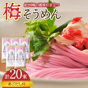 【ふるさと納税】手延べ梅そうめんセット あごだしスープ付き 1.1kg / そうめん 素麺 麺 乾麺 梅 うめ ウメ / 南島原市 / のうち製麺 [SAF04...