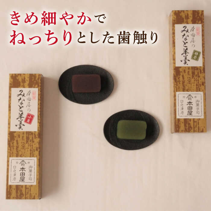 【ふるさと納税】【羊羹好きなあなたに！】みなと羊羹 2本入 / ようかん 小豆 抹茶 / 南島原市 / 本田屋かすてら本舗[SAW046]