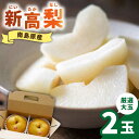 【ふるさと納税】【2026年9月中旬〜発送】【シャリッと食感がたまらない!】新高梨 2玉 / 梨 なし くだもの 果物 フルーツ 常温 ギフト プレゼント 贈り...