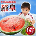 【ふるさと納税】【2025年5月下旬~発送】【大玉】 スイカ 羅皇 (ラオウ) 1玉 / スイカ すいか 西瓜 果物 フルーツ 羅皇 / 南島原市 / ふるさと...