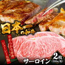 【ふるさと納税】長崎和牛 サーロインステーキ 2人前（200g×2枚）/ 牛肉 ステーキ 長崎産 サーロイン / 南島原市 / ふるさと企画 [SBA031]