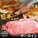 【ふるさと納税】【6回定期便】長崎和牛 サーロインステーキ 2人前（200g×2枚）/ 牛肉 ステーキ 長崎産 サーロイン / 南島原市 / ふるさと企画 [SBA033]