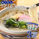 【ふるさと納税】あごだし付うどん 3人前 / うどん ウドン