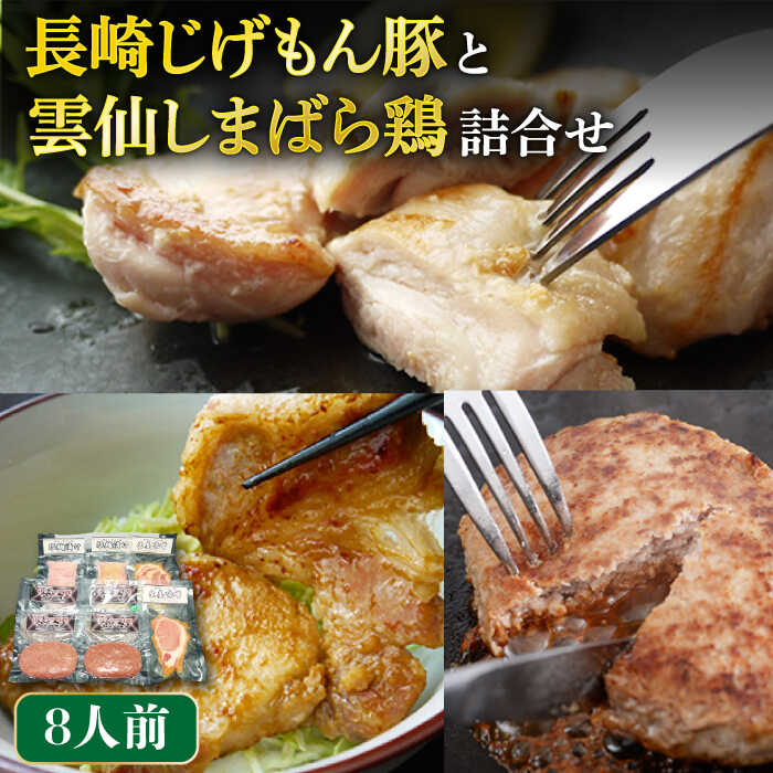 【ふるさと納税】長崎じげもん 豚 と雲仙しまばら 鶏 詰合せ 8人前 / 豚肉 鶏肉 ロース 味噌漬け 塩麹 ハンバーグ ギフト 食べ比べ / 南島原市 / 溝田精肉店 [SBP010]