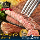 【ふるさと納税】【6回定期便】長崎和牛 サーロイン ステーキ 2人前 200g×2 / 肉 牛肉 国産 ブランド牛 和牛 冷凍 ギフト プレゼント 贈り物 定期便 / 南島原市 / 溝田精肉店 [SBP015]