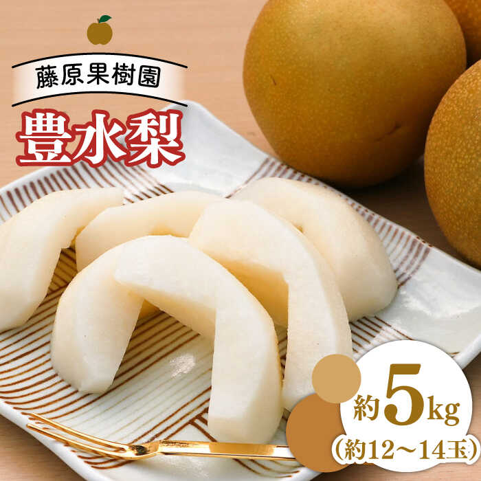 [2024年8月下旬〜発送][甘味の中にほのかな酸味!]豊水梨 約5kg (約12玉〜14玉) / 梨 なし フルーツ / 南島原市 / 藤原果樹園 