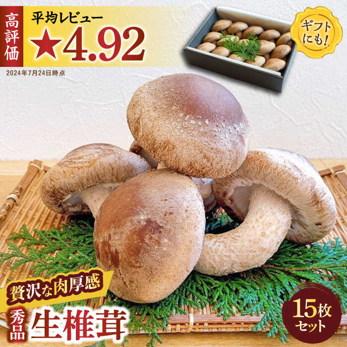 3位! 口コミ数「12件」評価「4.92」肉厚 生椎茸 秀品 15枚 セット / 生しいたけ 生シイタケ きのこ キノコ 茸 野菜 / 南島原市 / サンエスファーム [SBX001･･･ 