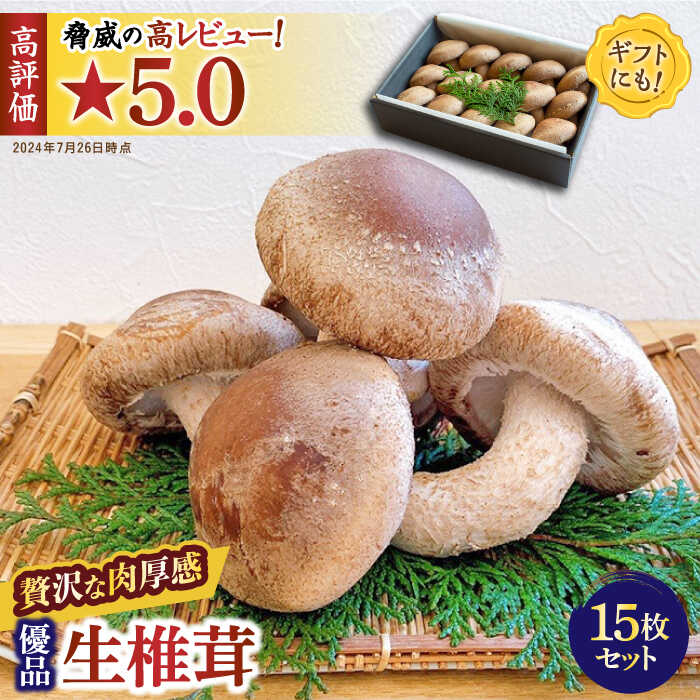 【ふるさと納税】肉厚 生椎茸 【優品】15枚セット / しいたけ シイタケ 椎茸 野菜 生 / 南島原市 / サンエスファーム [SBX003]