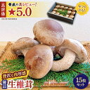 肉厚 生椎茸 【優品】15枚セット / 生しいたけ 生シイタケ きのこ キノコ 茸 野菜 / 南島原市 / サンエスファーム [SBX003]